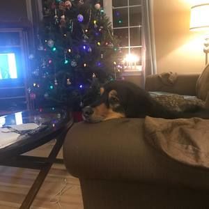 Meet your Posher, Bill